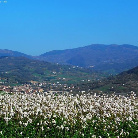 Park Hotel Salice Terme - Oltrepo Pavese - Bagian luar foto